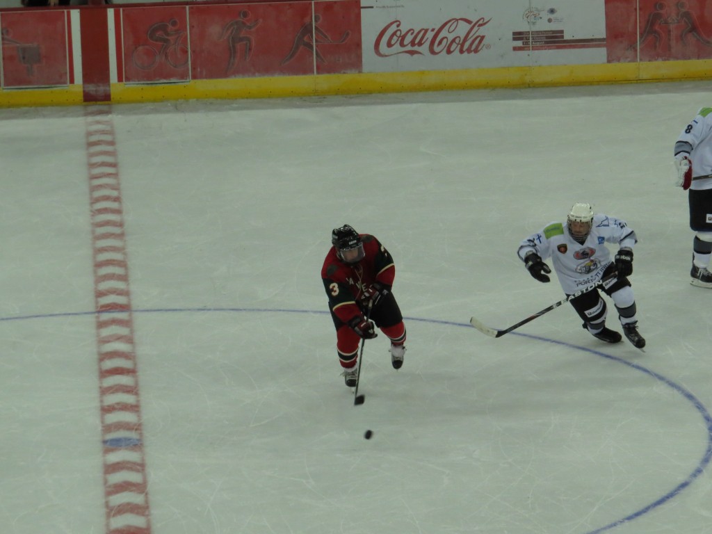 0726 SW Finland (152)