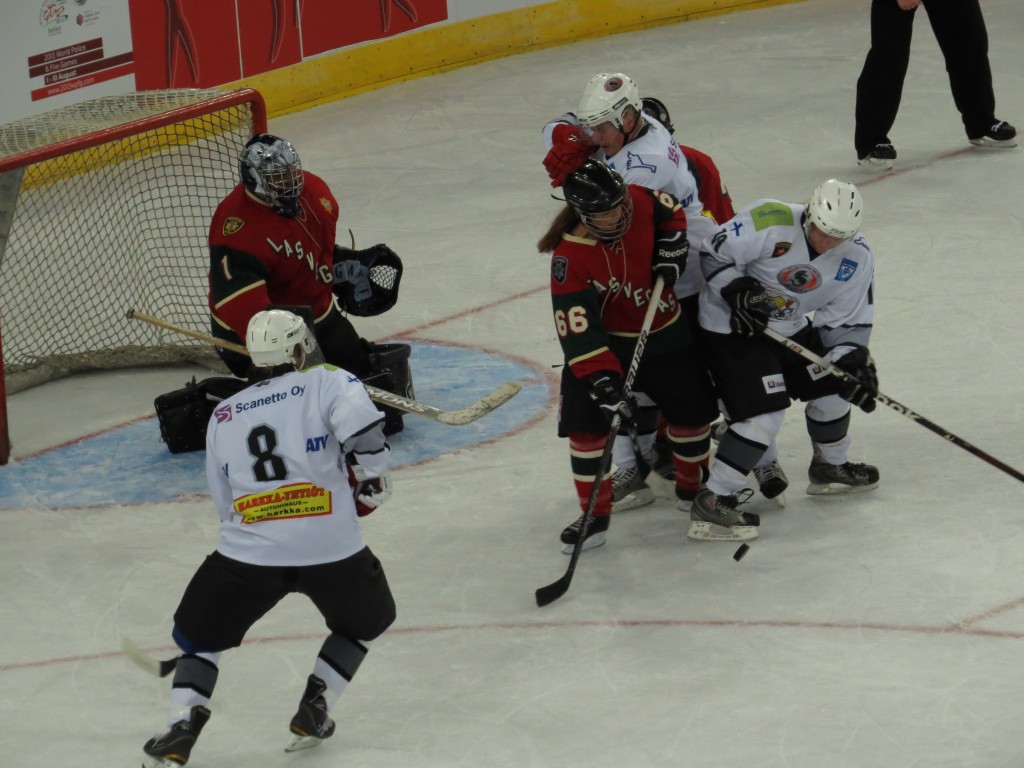 0726 SW Finland (170)