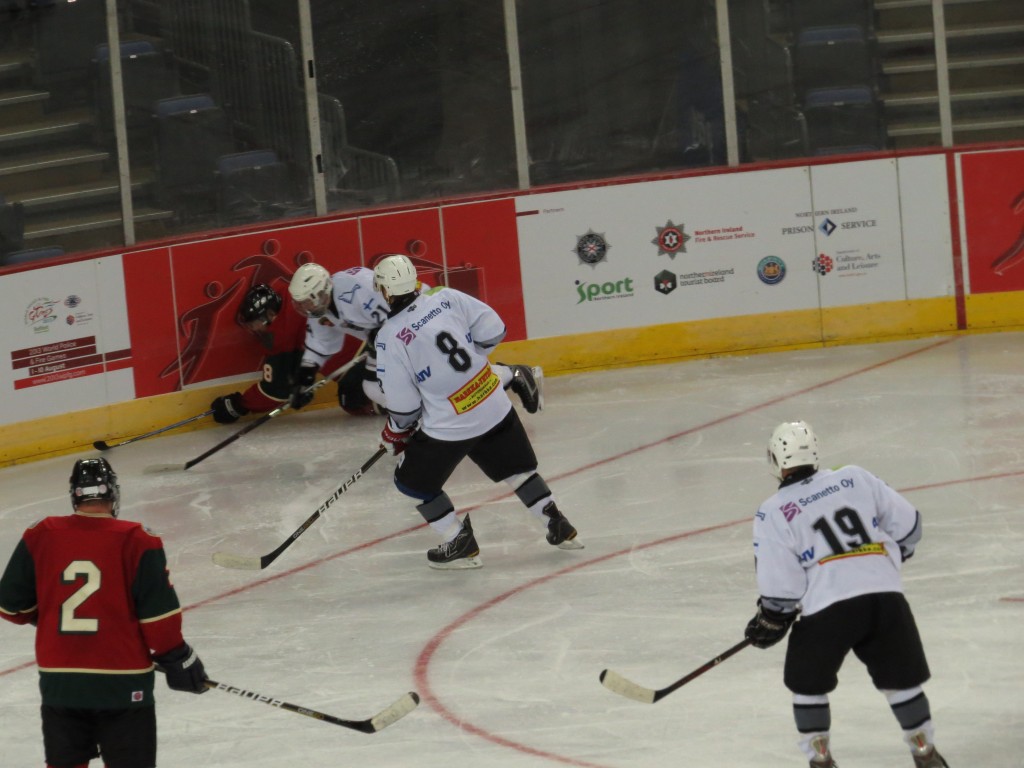 0726 SW Finland (274)