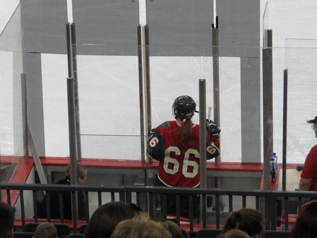 0726 SW Finland (300)