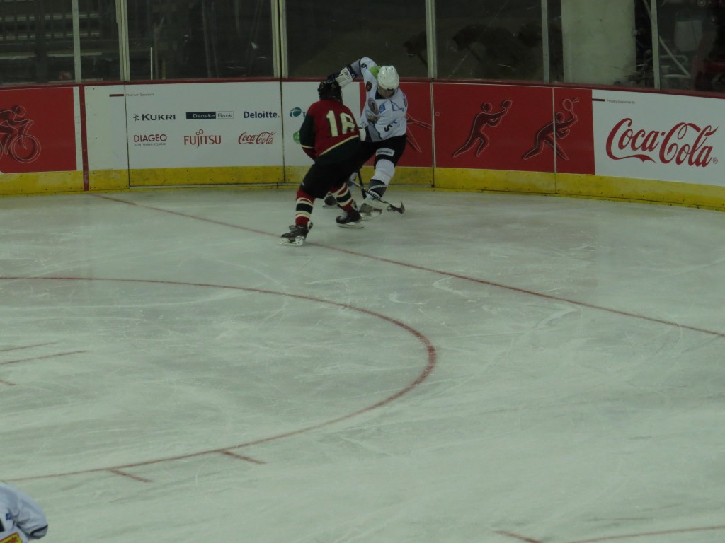 0726 SW Finland (308)