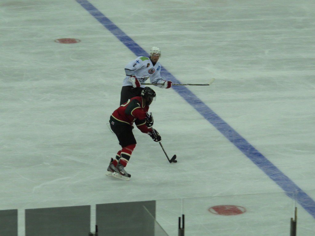 0726 SW Finland (318)