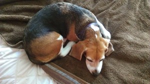 20140620_104107_Android