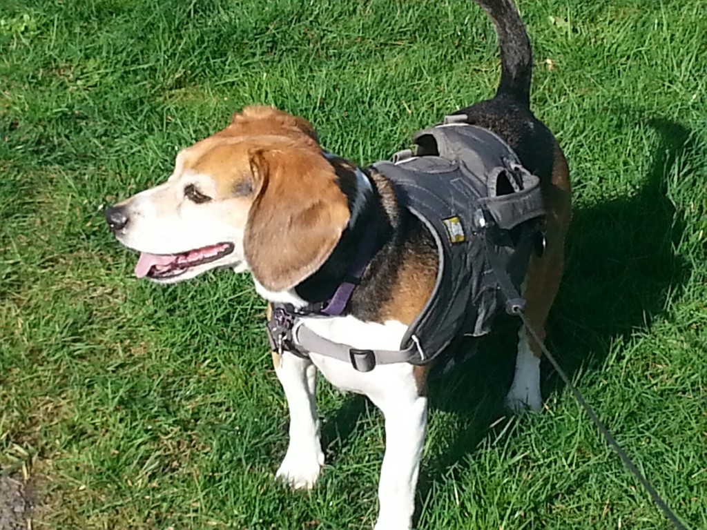 client_PART_1394469803232_20140307_151343