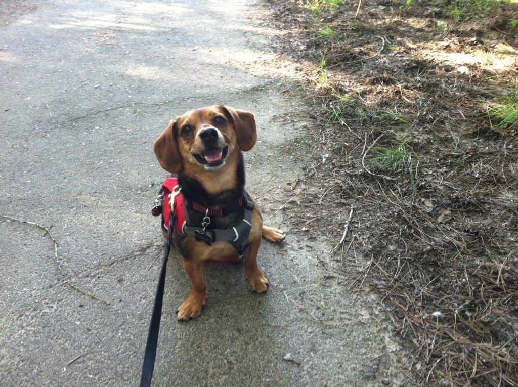 client_PART_1399944971287_IMG956652