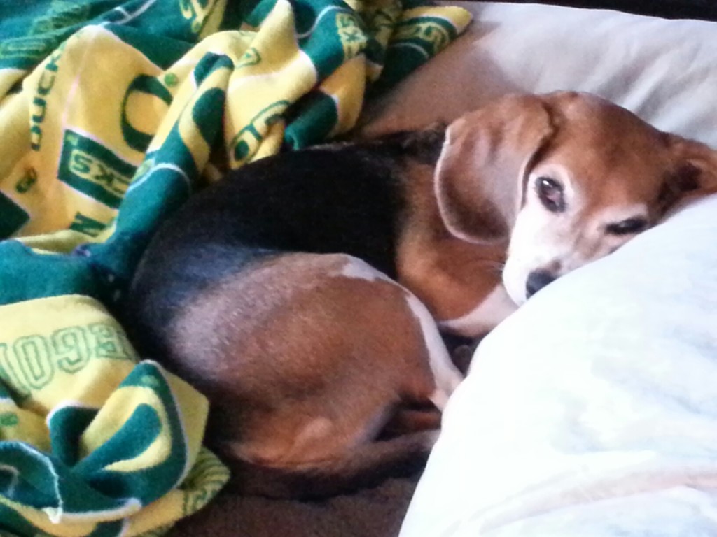 client_PART_1413734410599_20141019_085829